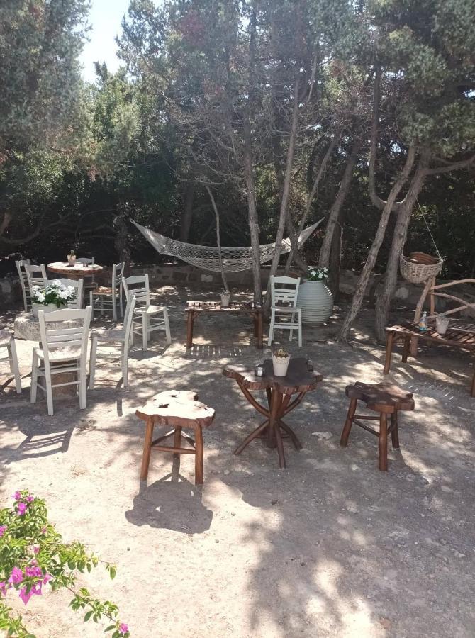 Dioni Lux Inn 2 Πάχαινα Εξωτερικό φωτογραφία