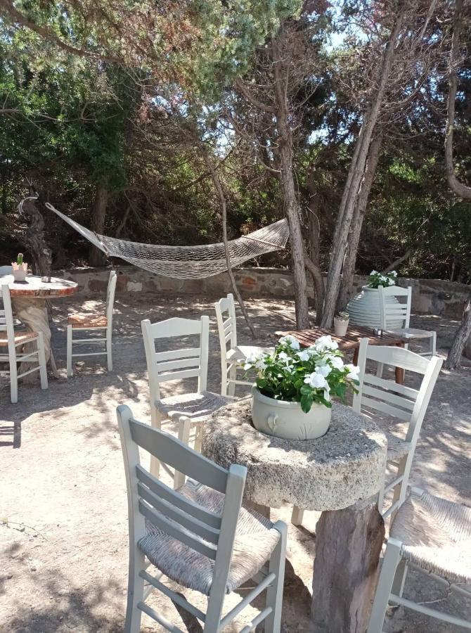 Dioni Lux Inn 2 Πάχαινα Εξωτερικό φωτογραφία